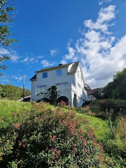Villa Madsgard à Etnesjoen Extérieur photo